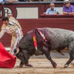 Madrid - Corrida de toros- Domingo 9 de septiembre de 2018