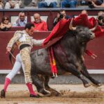 Madrid - Corrida de toros- Domingo 9 de septiembre de 2018
