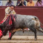 Madrid - Corrida de toros- Domingo 9 de septiembre de 2018