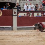 Madrid - Corrida de toros- Domingo 9 de septiembre de 2018