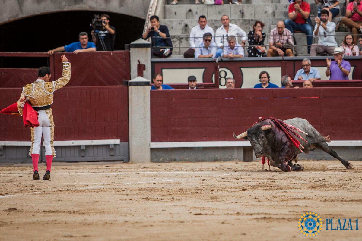 Madrid - Corrida de toros- Domingo 9 de septiembre de 2018