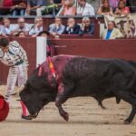 Madrid - Corrida de toros- Domingo 9 de septiembre de 2018