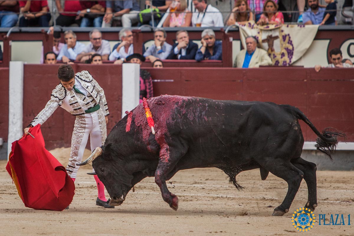 Madrid - Corrida de toros- Domingo 9 de septiembre de 2018