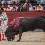 Madrid - Corrida de toros- Domingo 9 de septiembre de 2018