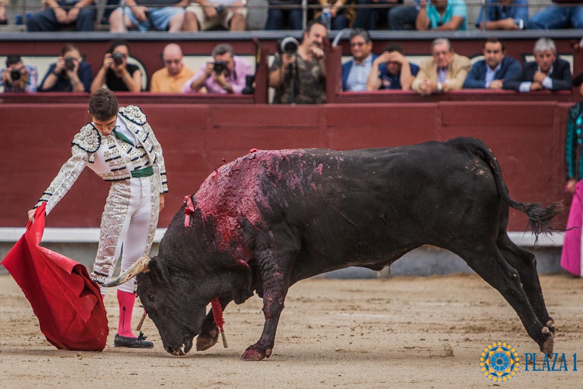 Madrid - Corrida de toros- Domingo 9 de septiembre de 2018