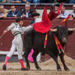 Madrid - Corrida de toros- Domingo 9 de septiembre de 2018