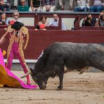 Madrid - Corrida de toros- Domingo 9 de septiembre de 2018