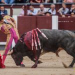 Madrid - Corrida de toros- Domingo 9 de septiembre de 2018