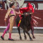 Madrid - Corrida de toros- Domingo 9 de septiembre de 2018