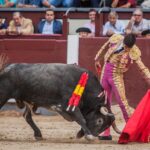Madrid - Corrida de toros- Domingo 9 de septiembre de 2018