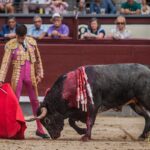 Madrid - Corrida de toros- Domingo 9 de septiembre de 2018