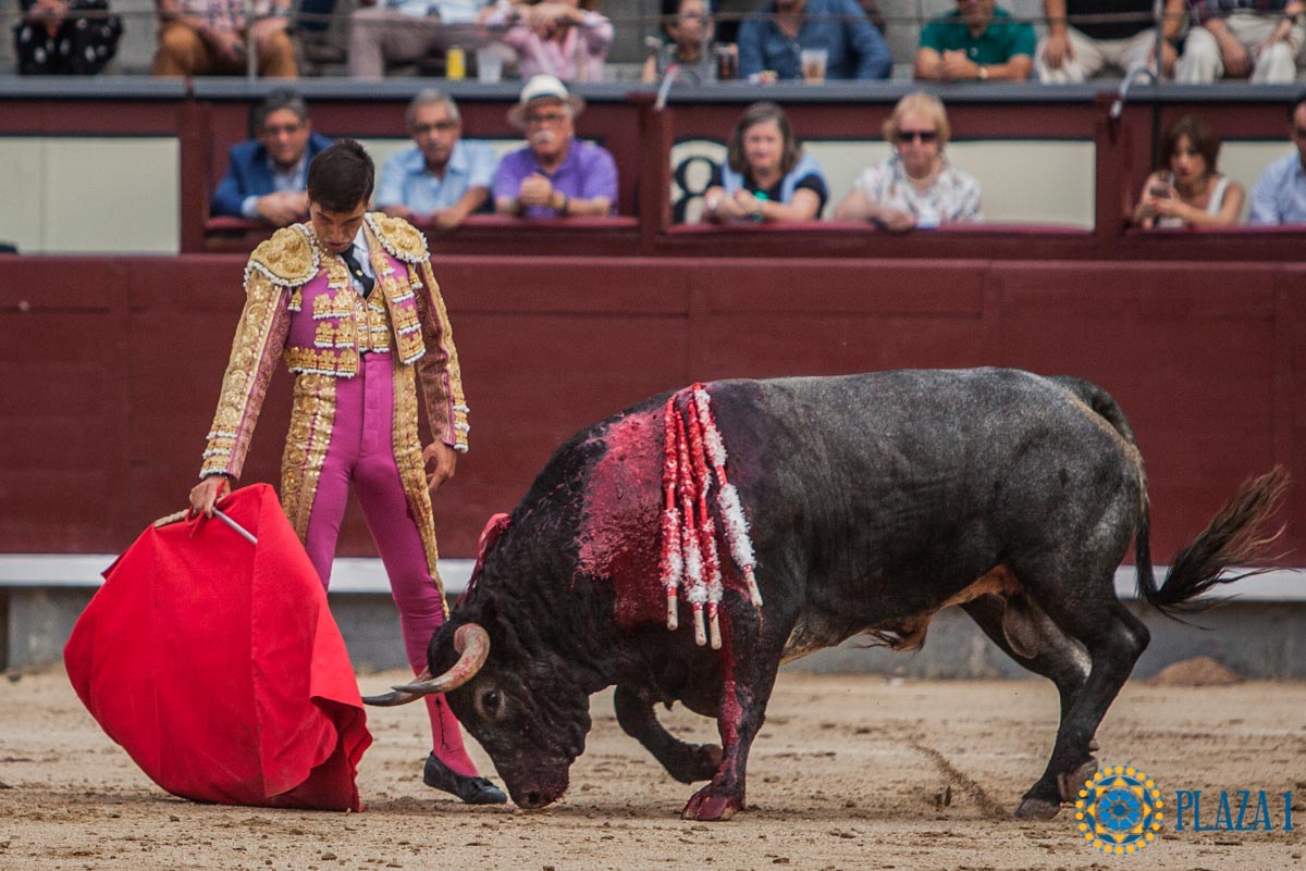 Madrid - Corrida de toros- Domingo 9 de septiembre de 2018
