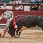 Madrid - Corrida de toros- Domingo 9 de septiembre de 2018
