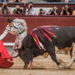 Madrid - Corrida de toros- Domingo 9 de septiembre de 2018