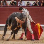 Madrid - Corrida de toros- Domingo 9 de septiembre de 2018