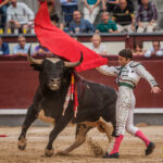 Madrid - Corrida de toros- Domingo 9 de septiembre de 2018