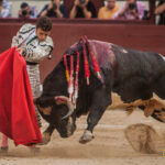 Madrid - Corrida de toros- Domingo 9 de septiembre de 2018