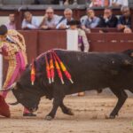 Madrid - Corrida de toros- Domingo 9 de septiembre de 2018