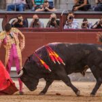 Madrid - Corrida de toros- Domingo 9 de septiembre de 2018