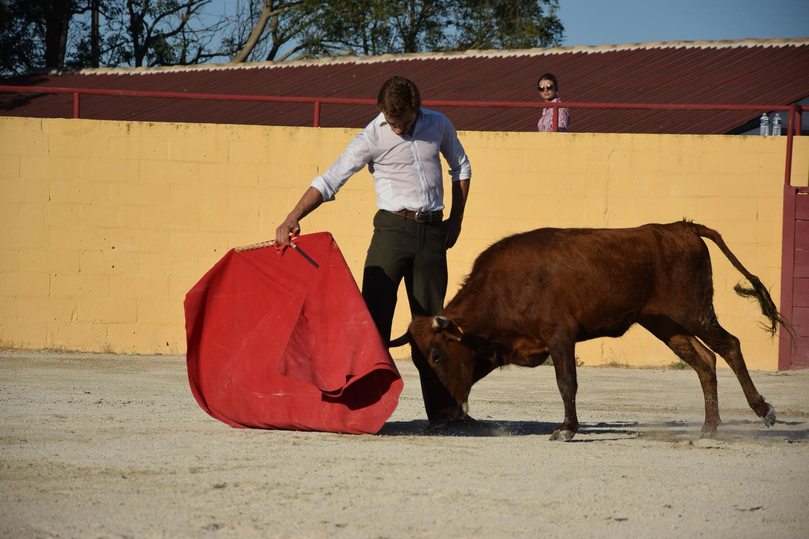 Juan Bautista, recuperado del percance Logroño