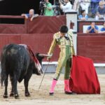 Madrid - Novillada picada - Sábado 29 de septiembre de 2018