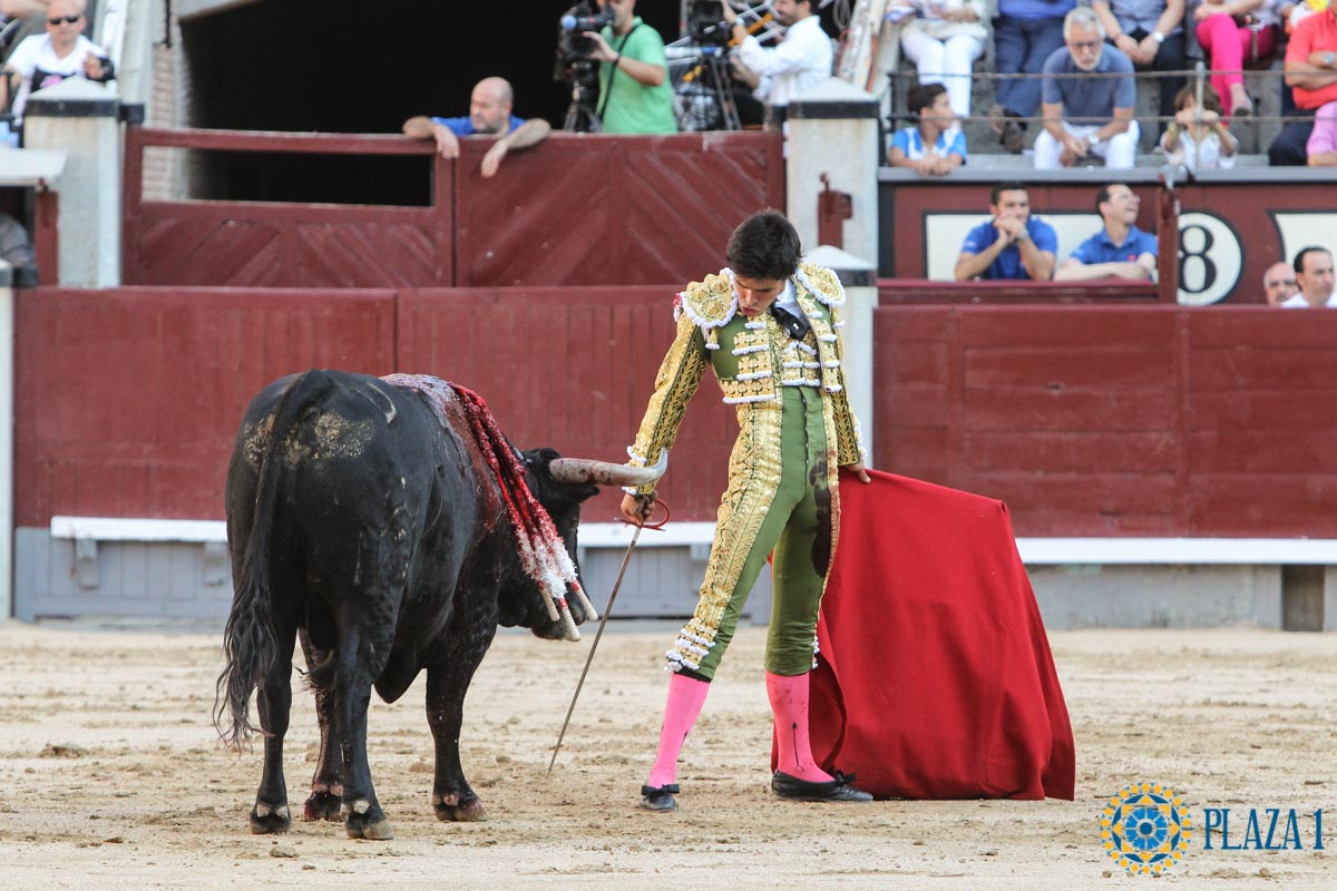 Madrid - Novillada picada - Sábado 29 de septiembre de 2018