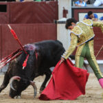 Madrid - Novillada picada - Sábado 29 de septiembre de 2018