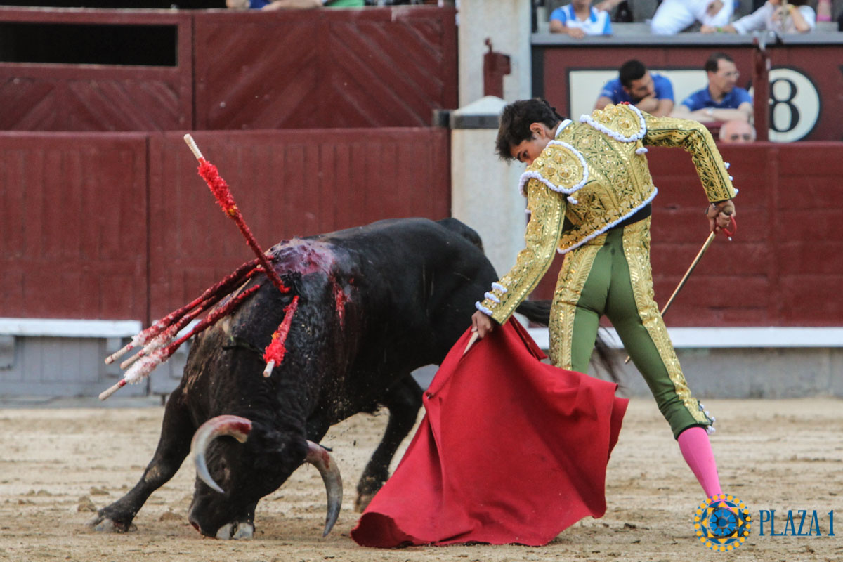 Madrid - Novillada picada - Sábado 29 de septiembre de 2018