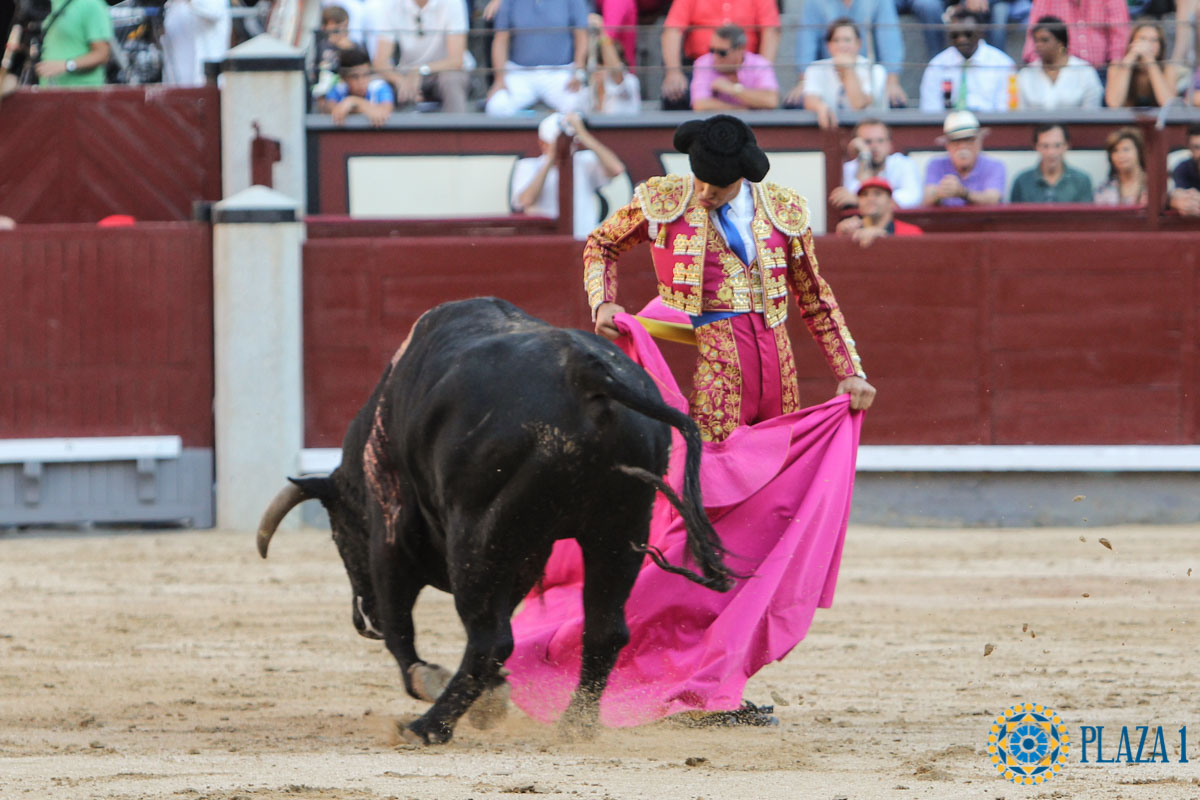 Madrid - Novillada picada - Sábado 29 de septiembre de 2018