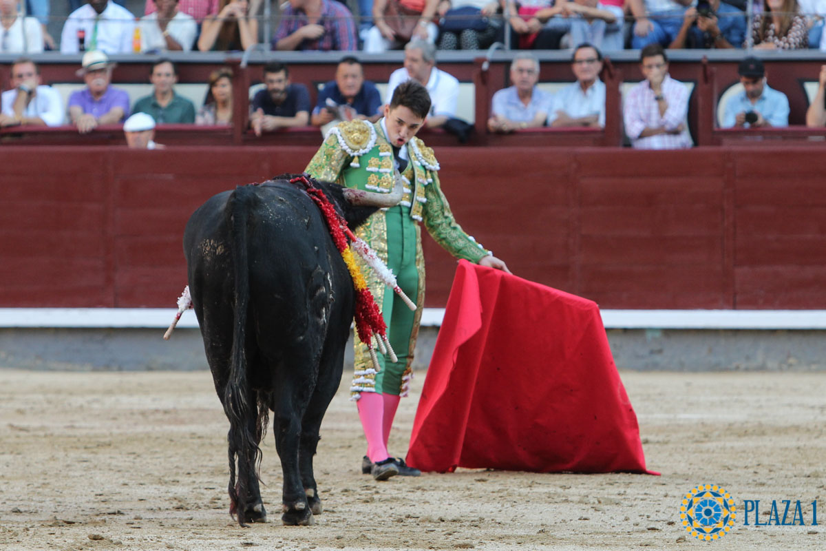 Madrid - Novillada picada - Sábado 29 de septiembre de 2018