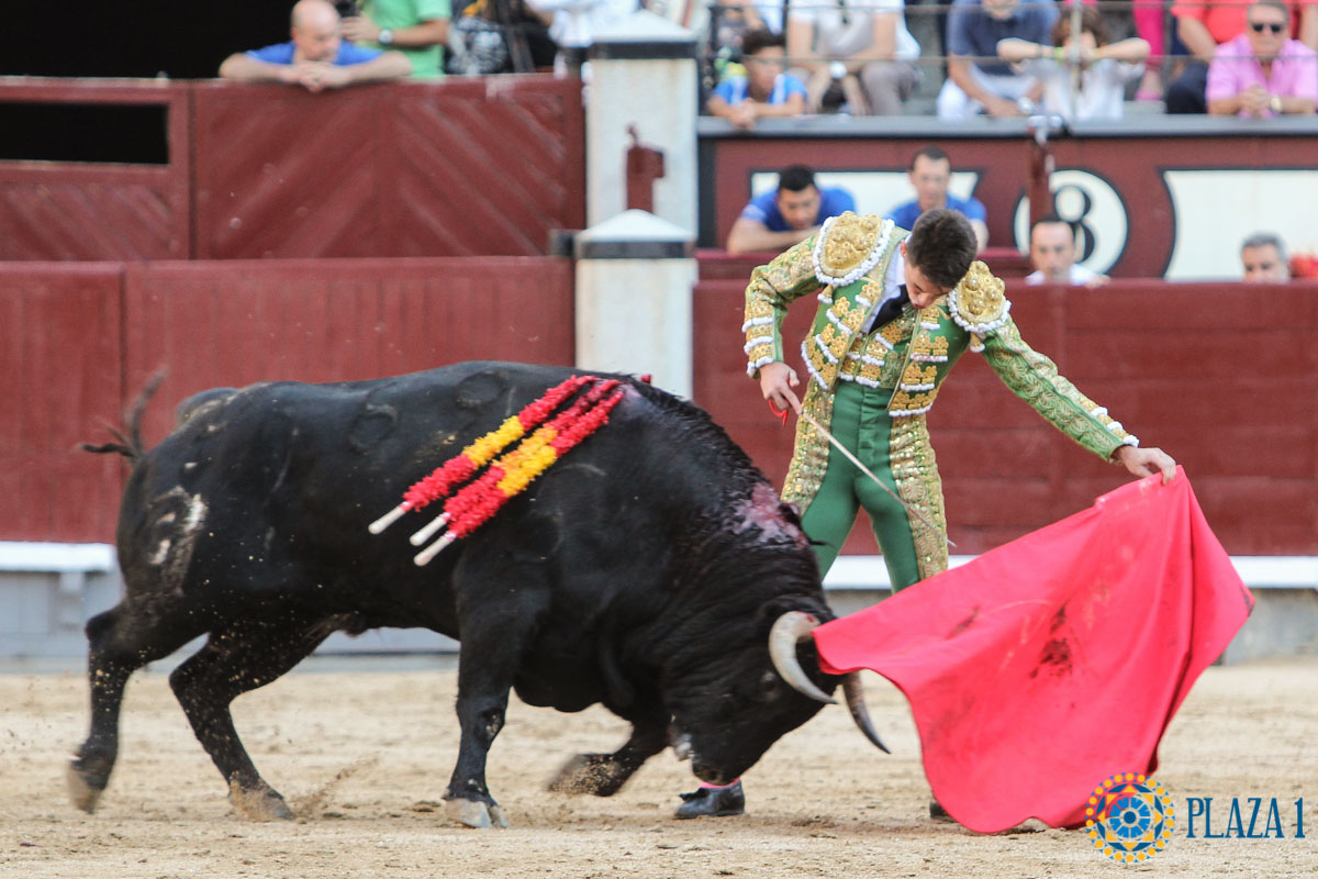 Madrid - Novillada picada - Sábado 29 de septiembre de 2018