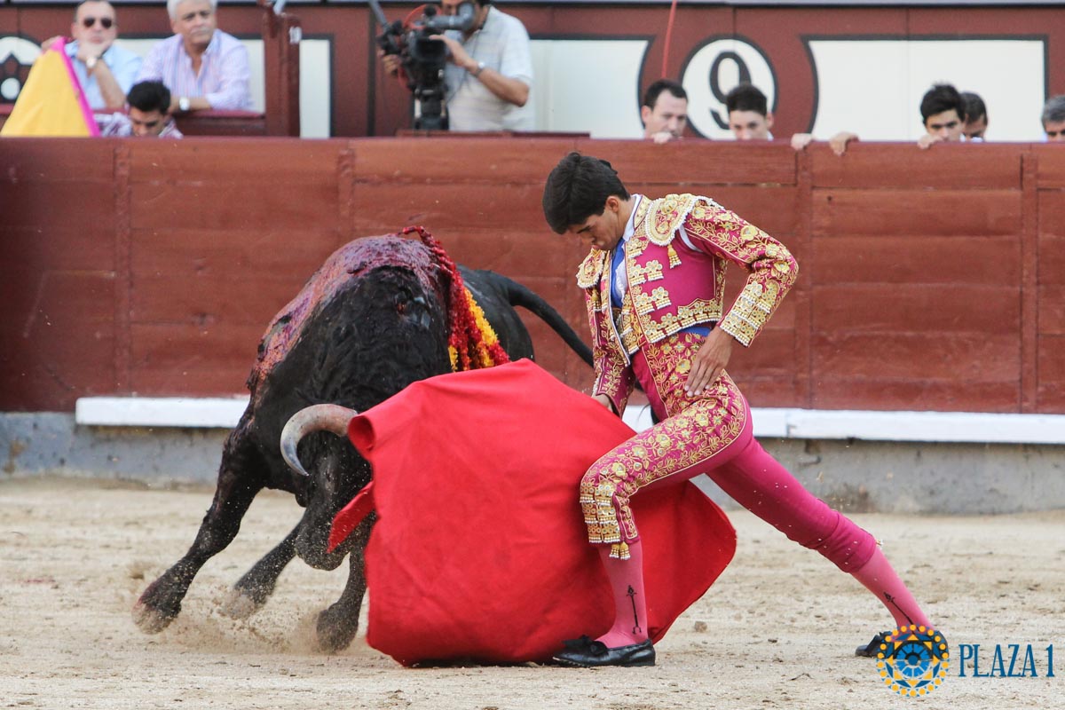 Madrid - Novillada picada - Sábado 29 de septiembre de 2018