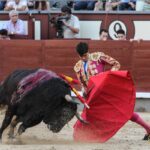 Madrid - Novillada picada - Sábado 29 de septiembre de 2018