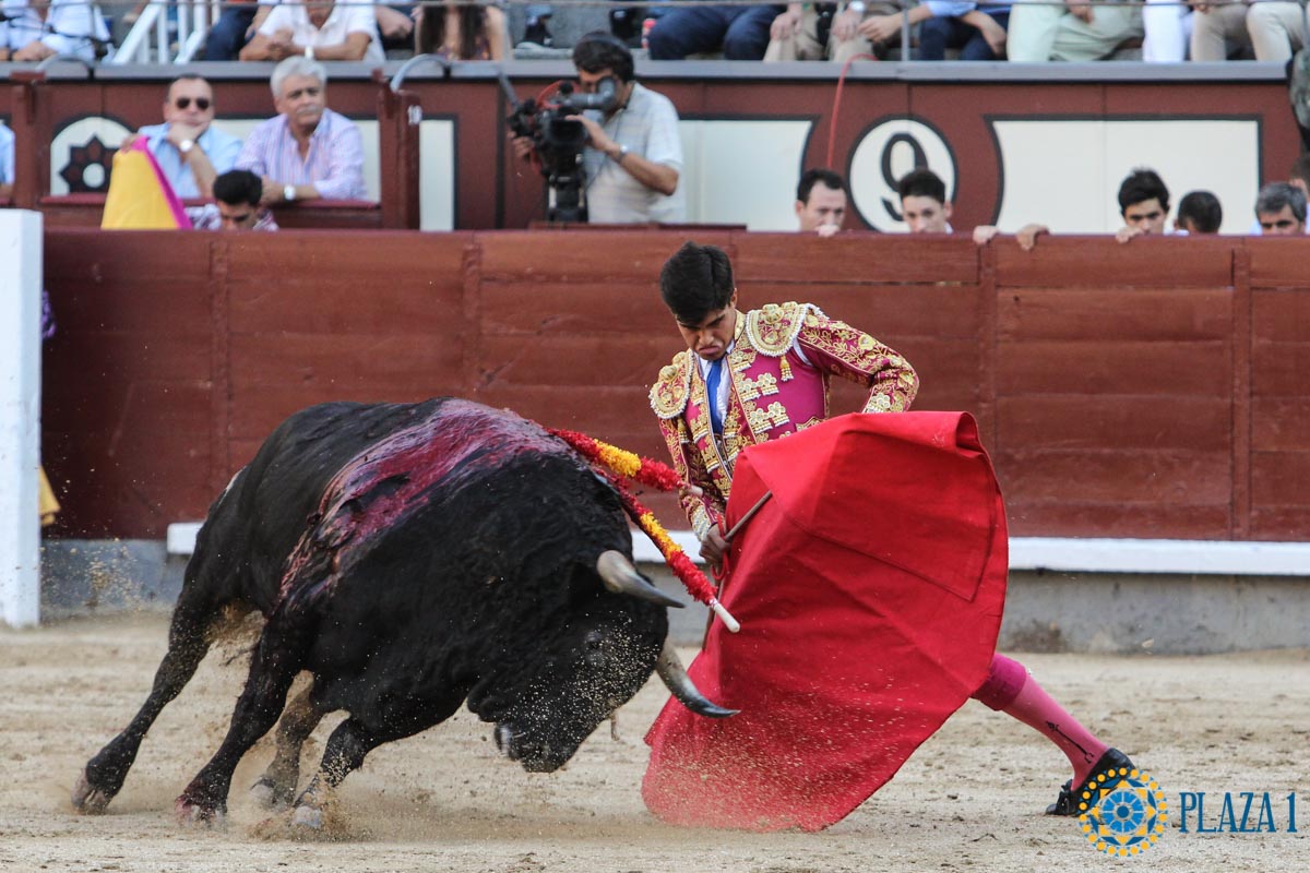 Madrid - Novillada picada - Sábado 29 de septiembre de 2018