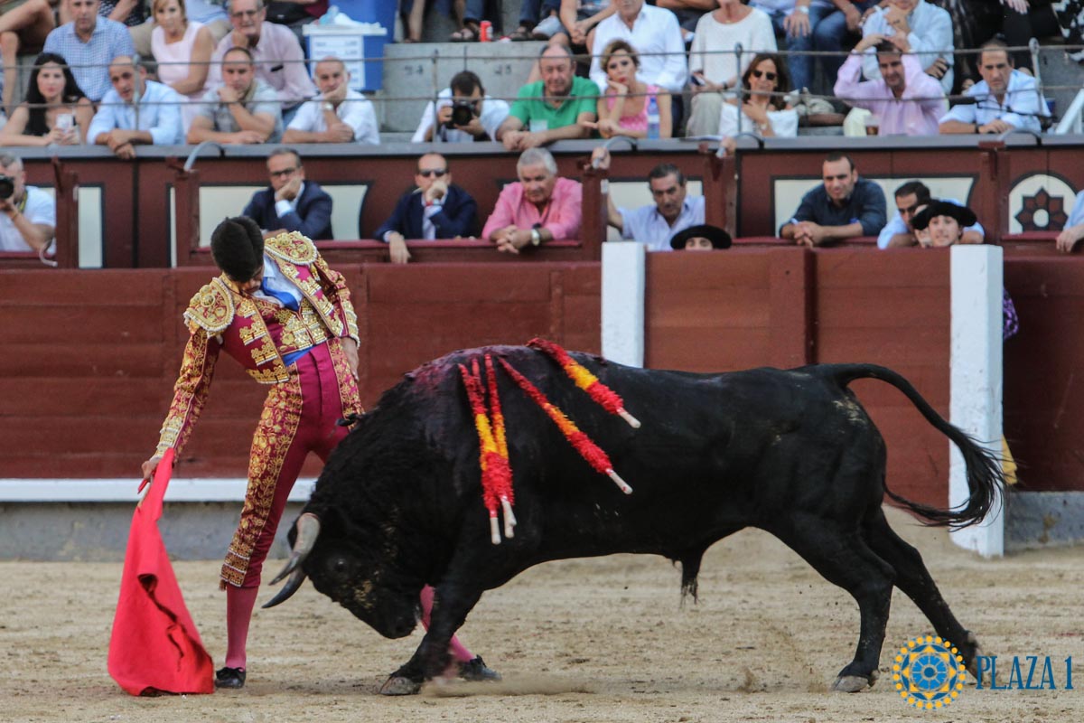 Madrid - Novillada picada - Sábado 29 de septiembre de 2018