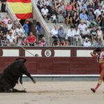 Madrid - Novillada picada - Sábado 29 de septiembre de 2018