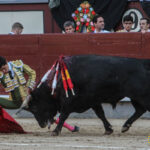 Madrid - Novillada picada - Sábado 29 de septiembre de 2018