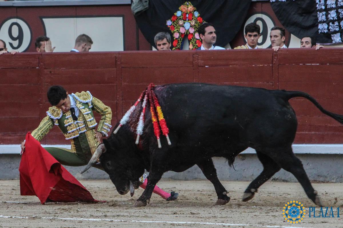 Madrid - Novillada picada - Sábado 29 de septiembre de 2018