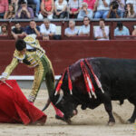 Madrid - Novillada picada - Sábado 29 de septiembre de 2018