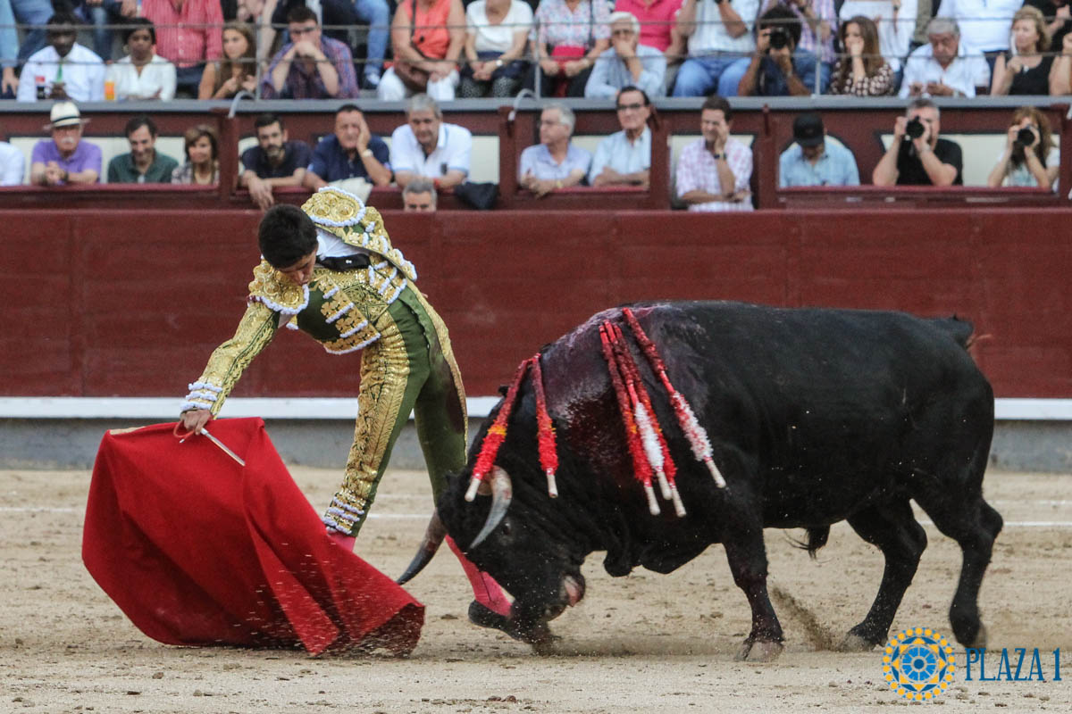 Madrid - Novillada picada - Sábado 29 de septiembre de 2018