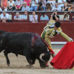 Madrid - Novillada picada - Sábado 29 de septiembre de 2018