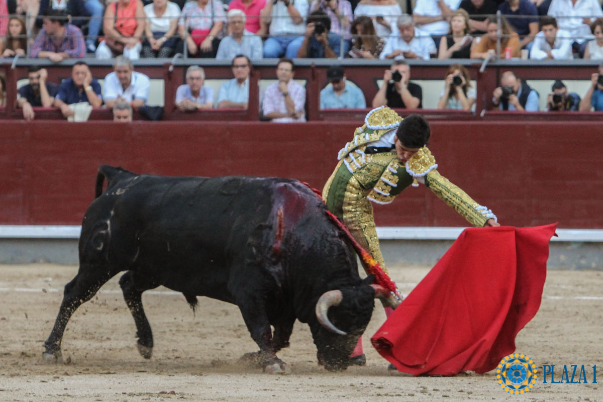 Madrid - Novillada picada - Sábado 29 de septiembre de 2018