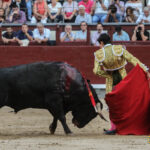 Madrid - Novillada picada - Sábado 29 de septiembre de 2018