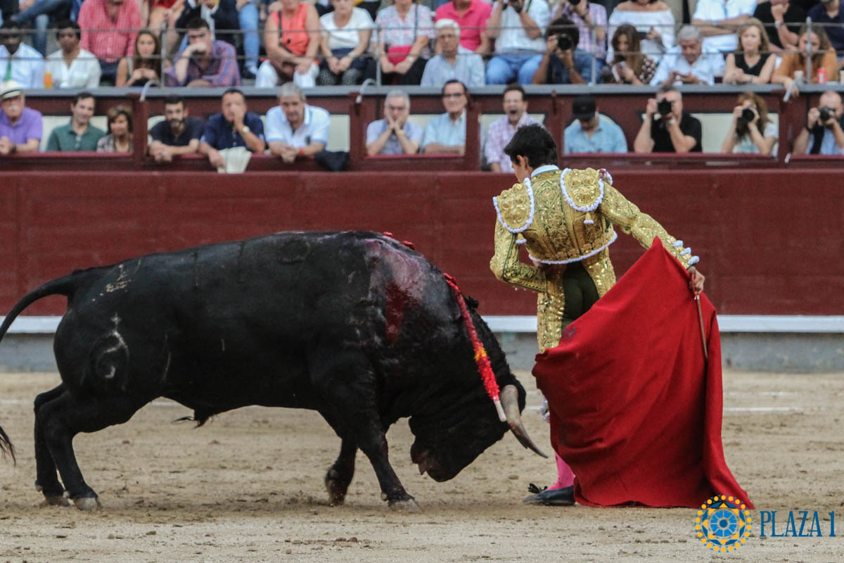 Madrid - Novillada picada - Sábado 29 de septiembre de 2018