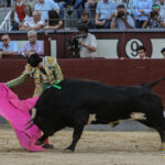 Madrid - Novillada picada - Sábado 29 de septiembre de 2018