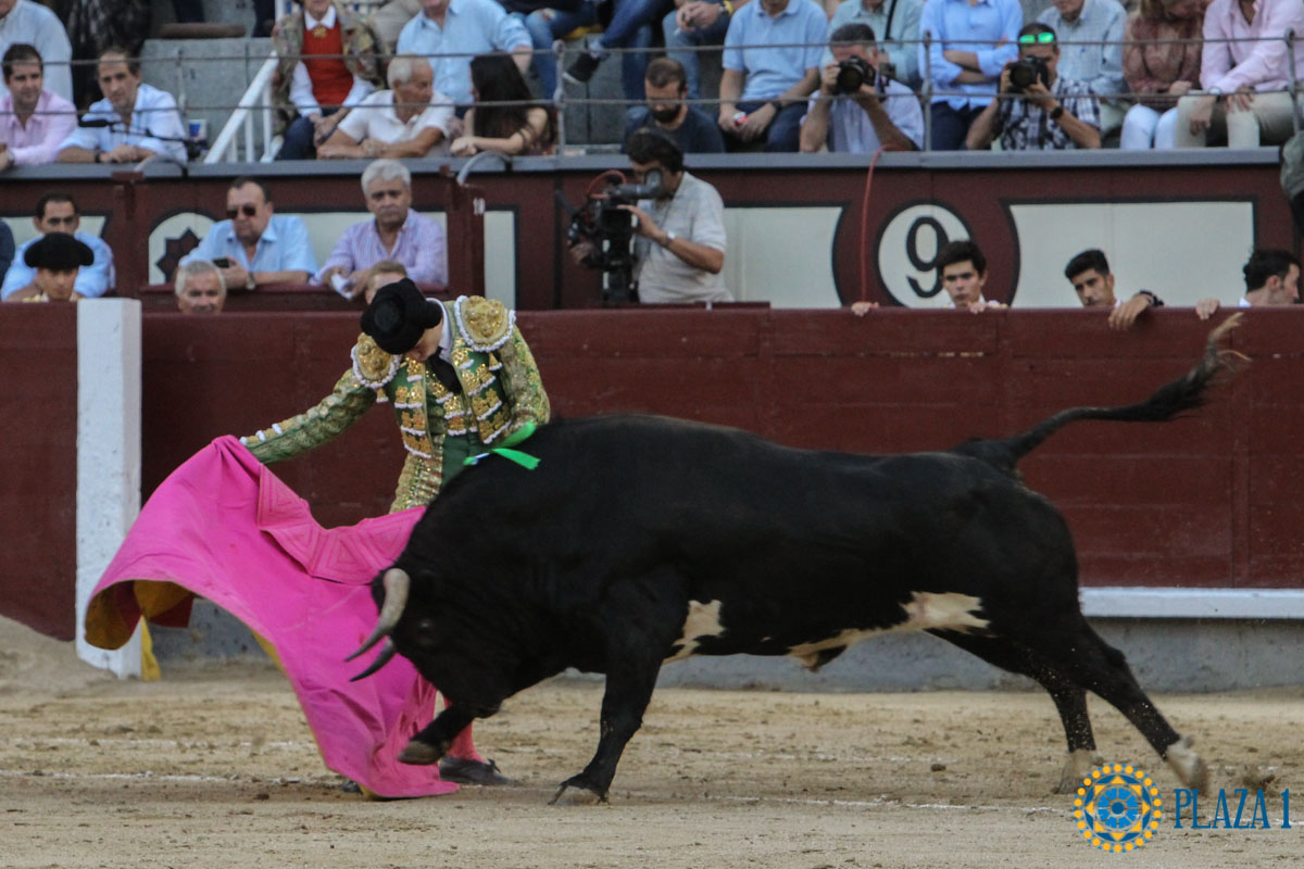 Madrid - Novillada picada - Sábado 29 de septiembre de 2018