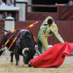 Madrid - Novillada picada - Sábado 29 de septiembre de 2018