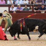 Madrid - Novillada picada - Sábado 29 de septiembre de 2018