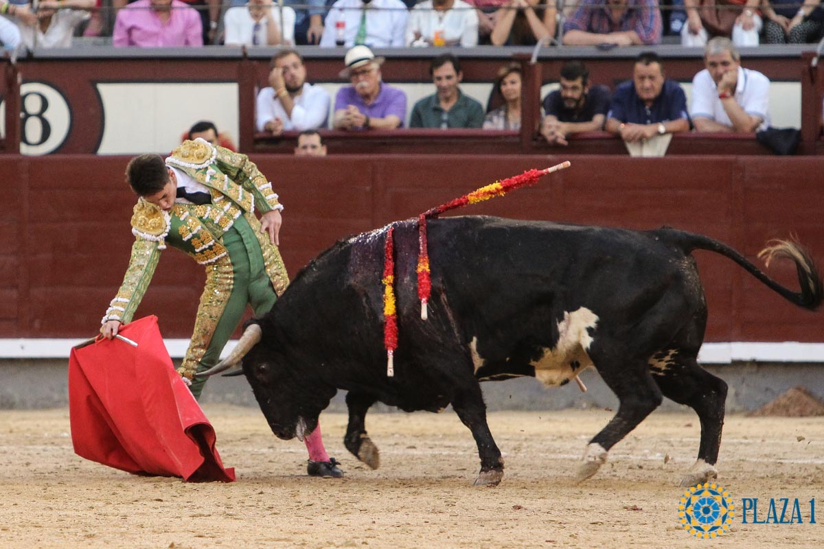 Madrid - Novillada picada - Sábado 29 de septiembre de 2018