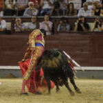 Madrid - Novillada picada - Sábado 29 de septiembre de 2018